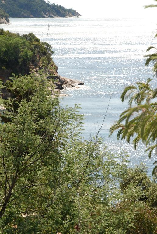 Auberge Du Cap Negre Le Lavandou Exterior foto